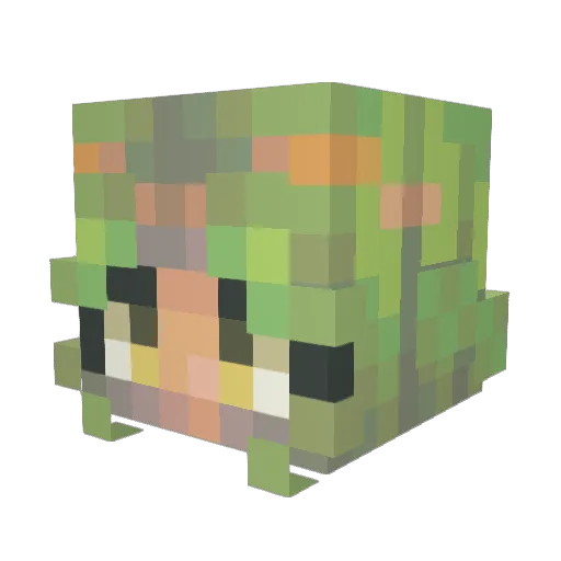 Emiyh Minecraft avatar head, 3D render