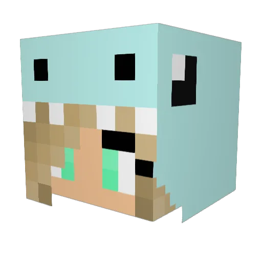Emjawesome Minecraft avatar head, 3D render