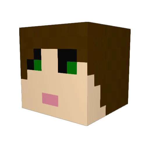 Emjay15 Minecraft avatar head, 3D render