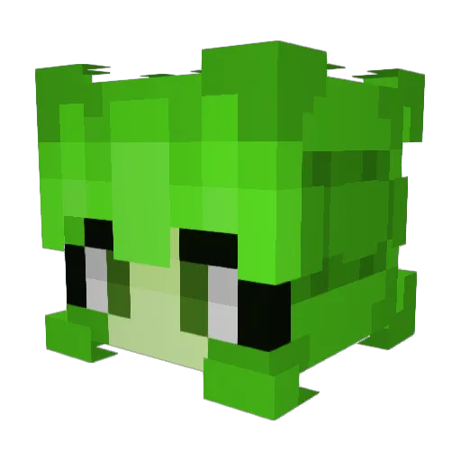 Emkatm09 Minecraft avatar head, 3D render