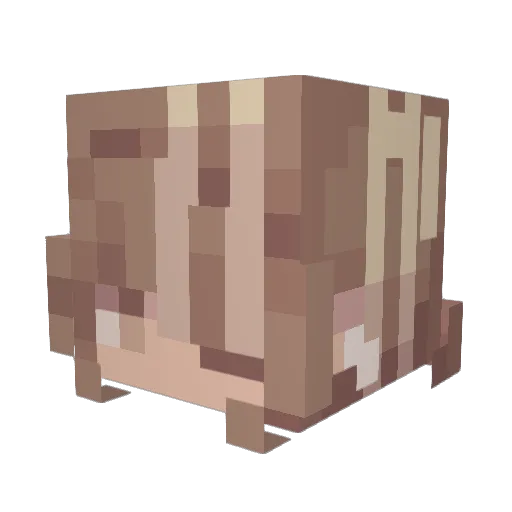 Emkez Minecraft avatar head, 3D render