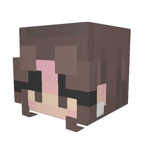 Emlzbear82634 Minecraft avatar head, 3D render