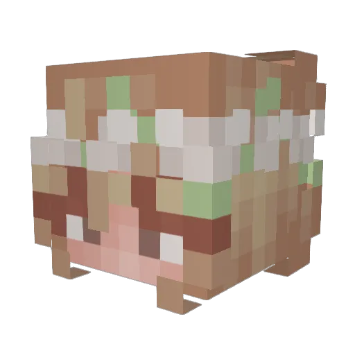 Emma040 Minecraft avatar head, 3D render