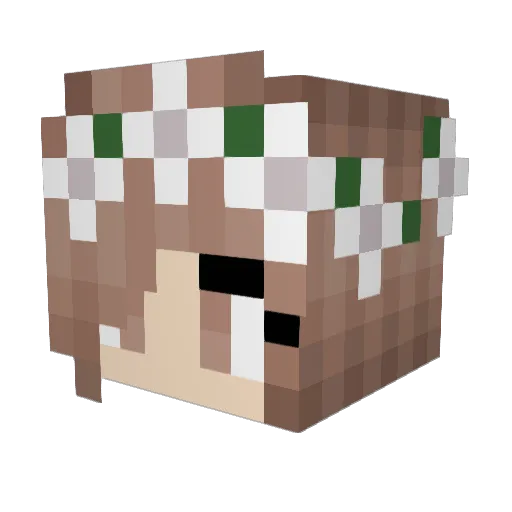 Emma1969 Minecraft avatar head, 3D render