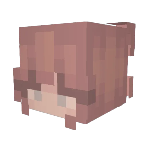 Emma1sc Minecraft avatar head, 3D render
