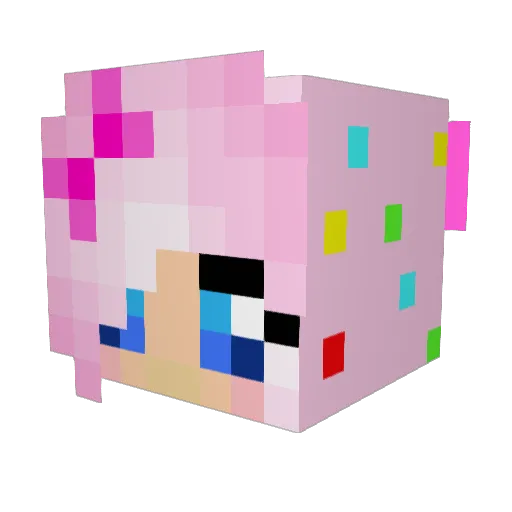 Emma3769 Minecraft avatar head, 3D render