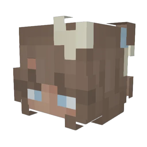 EmmaBirkvald Minecraft avatar head, 3D render