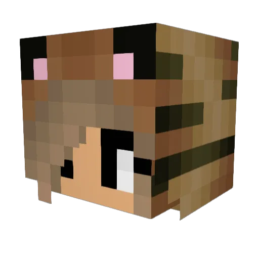 EmmaBunny76 Minecraft avatar head, 3D render
