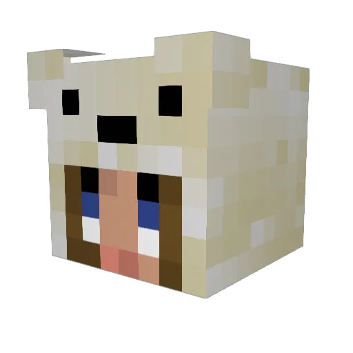 EmmaHuhn123 Minecraft avatar head, 3D render