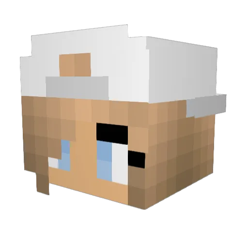 EmmaLee_123 Minecraft avatar head, 3D render