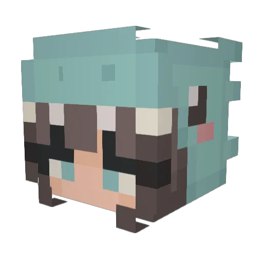 EmmaRex1 Minecraft avatar head, 3D render