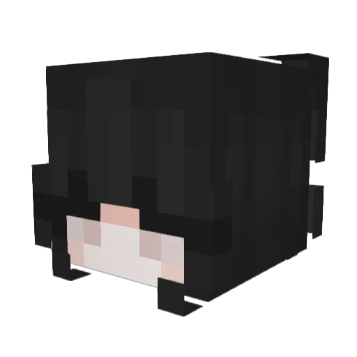 EmmaRighty Minecraft avatar head, 3D render