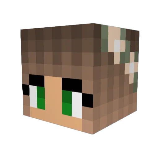 EmmaVloggerRules Minecraft avatar head, 3D render