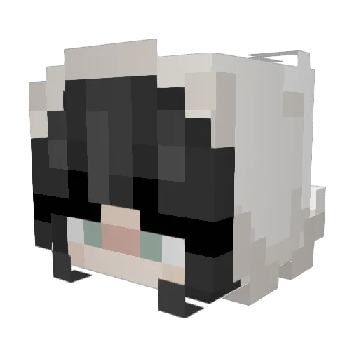 Emma_1802 Minecraft avatar head, 3D render