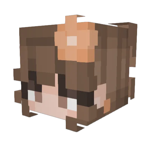 Emma_527 Minecraft avatar head, 3D render