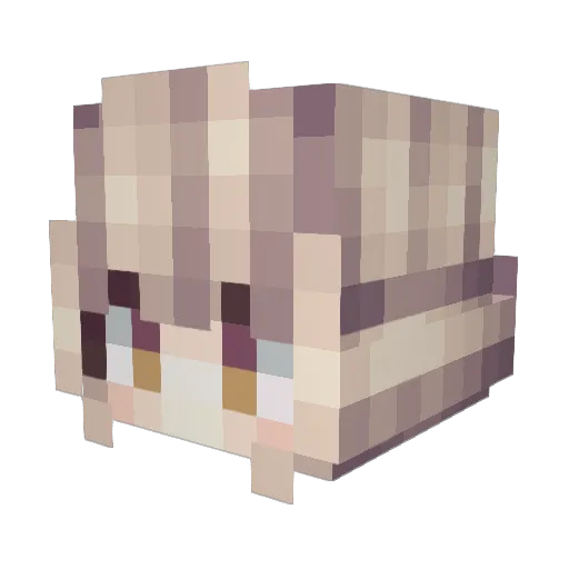 Emma_XXY Minecraft avatar head, 3D render