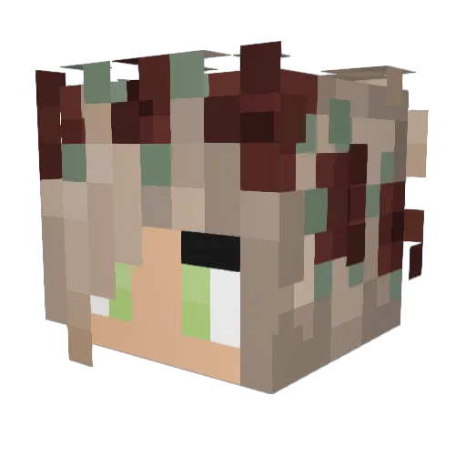 Emmaboyer Minecraft avatar head, 3D render
