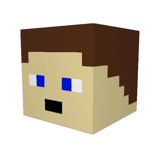 Emmett1701 Minecraft avatar head, 3D render