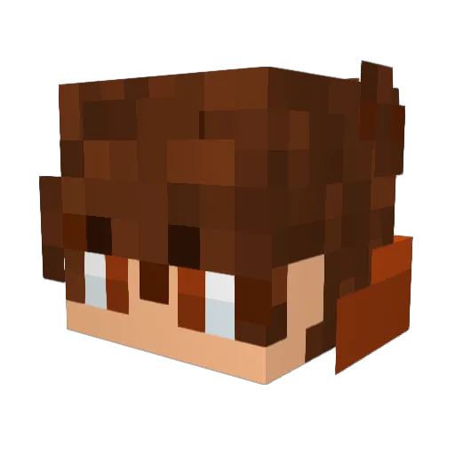 EmmettSunny1888 Minecraft avatar head, 3D render