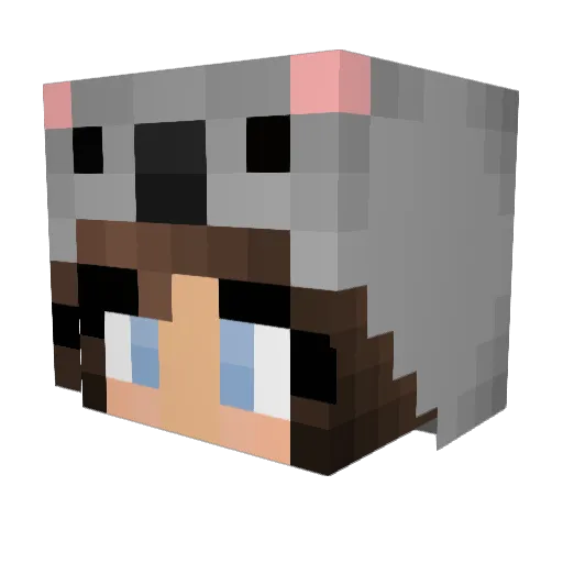 Emmi098 Minecraft avatar head, 3D render