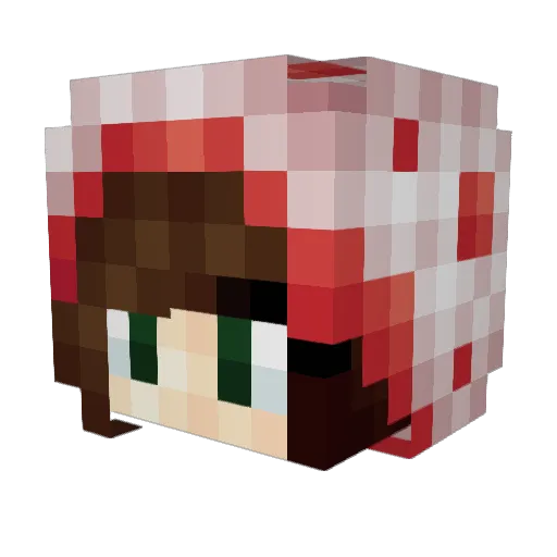 Emmie0908 Minecraft avatar head, 3D render
