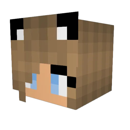 Emmie113 Minecraft avatar head, 3D render