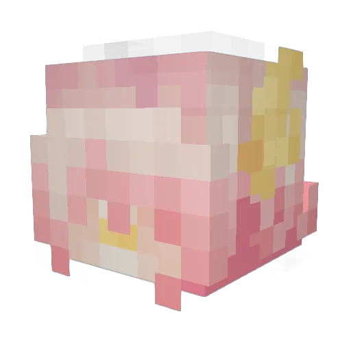 Emmie23 Minecraft avatar head, 3D render
