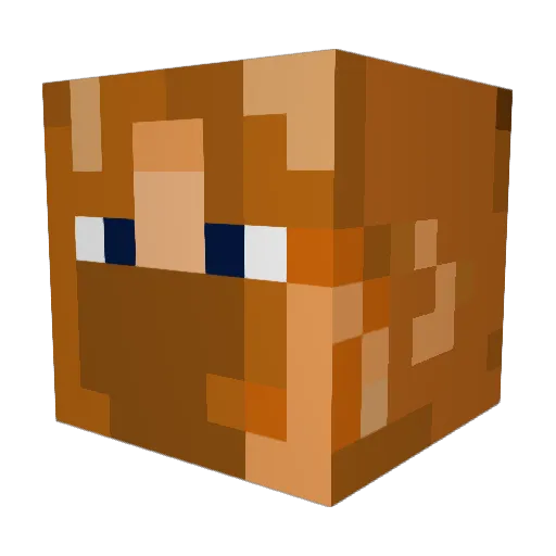 Emmiespace Minecraft avatar head, 3D render