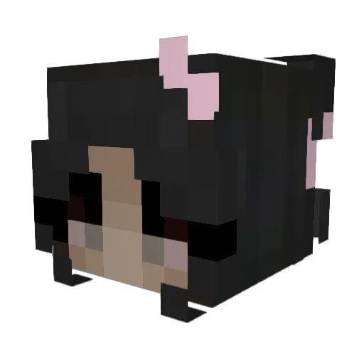 Emmildaa Minecraft avatar head, 3D render