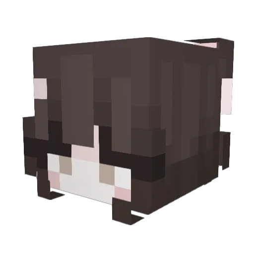 Emmileeaf Minecraft avatar head, 3D render
