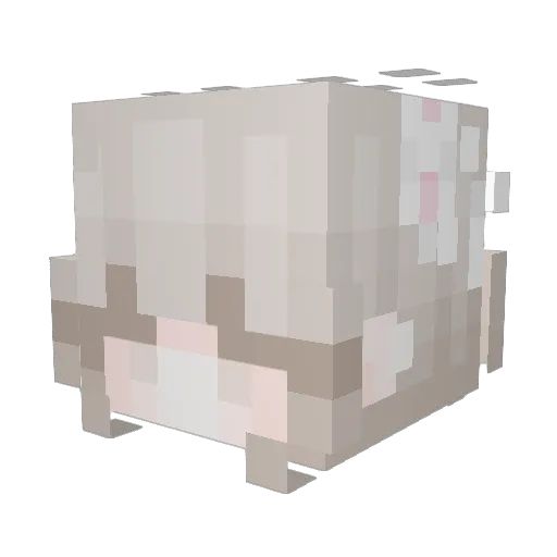 Emminenga Minecraft avatar head, 3D render