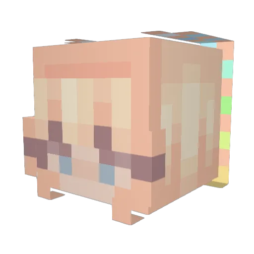 Emmis2609 Minecraft avatar head, 3D render