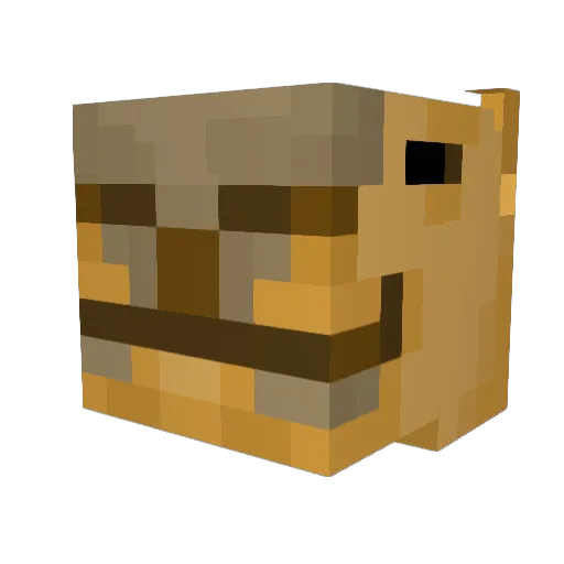 Emms_0 Minecraft avatar head, 3D render