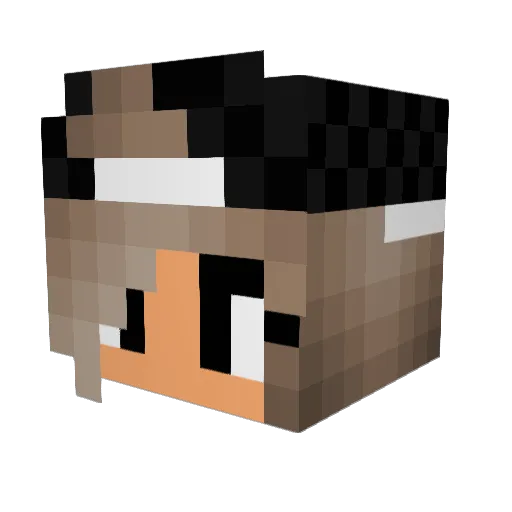 EmmsiDemsi Minecraft avatar head, 3D render