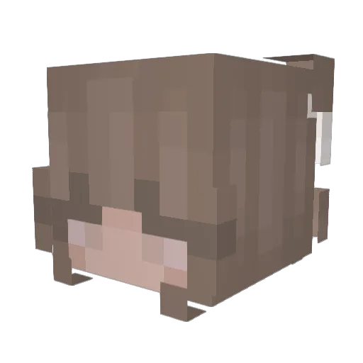 Emmushh Minecraft avatar head, 3D render