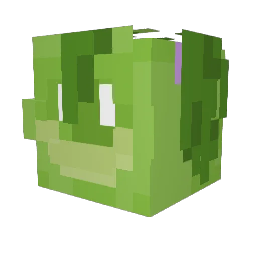 Emmusk4 Minecraft avatar head, 3D render