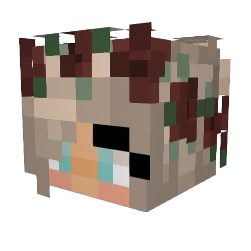 Emmy1907 Minecraft avatar head, 3D render