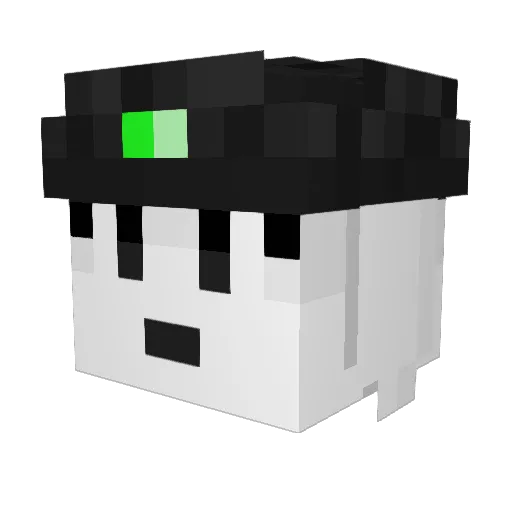 Emmy2Gay Minecraft avatar head, 3D render
