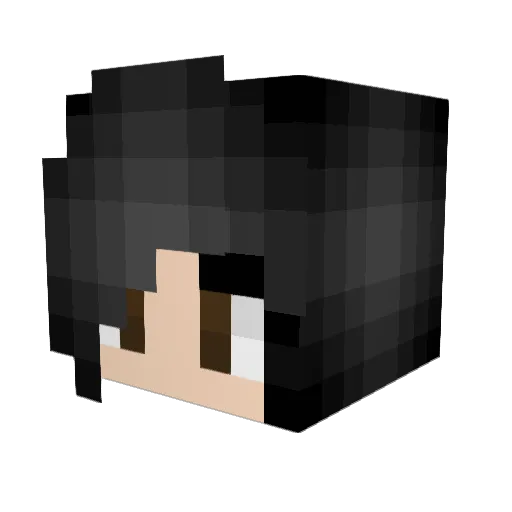 EmmyDragon Minecraft avatar head, 3D render