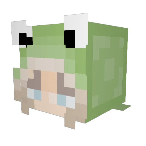EmmyNemmy15 Minecraft avatar head, 3D render
