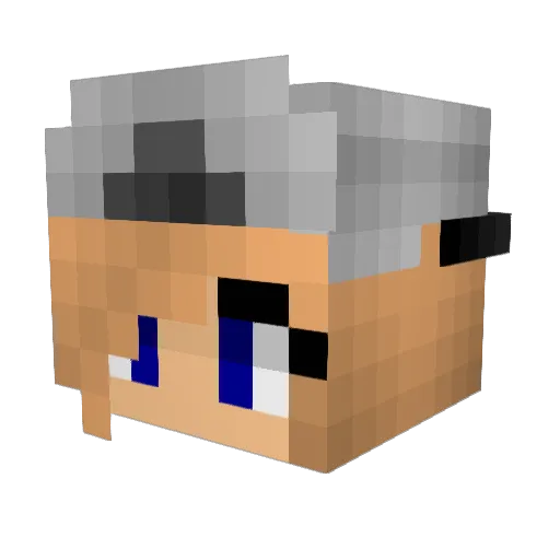 EmmylouS Minecraft avatar head, 3D render