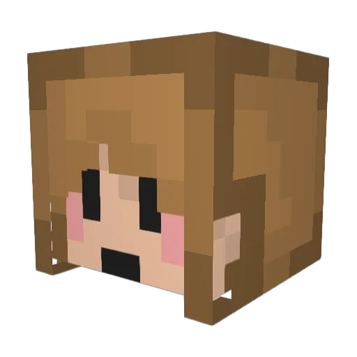 Emnine9 Minecraft avatar head, 3D render