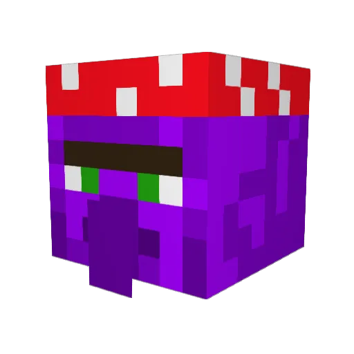 Emnys Minecraft avatar head, 3D render