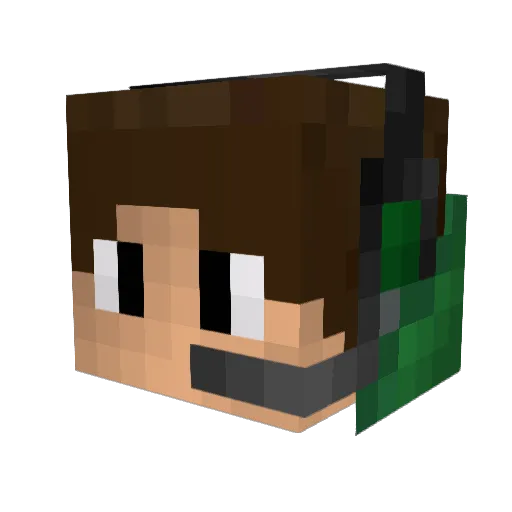 EmoBeemo Minecraft avatar head, 3D render