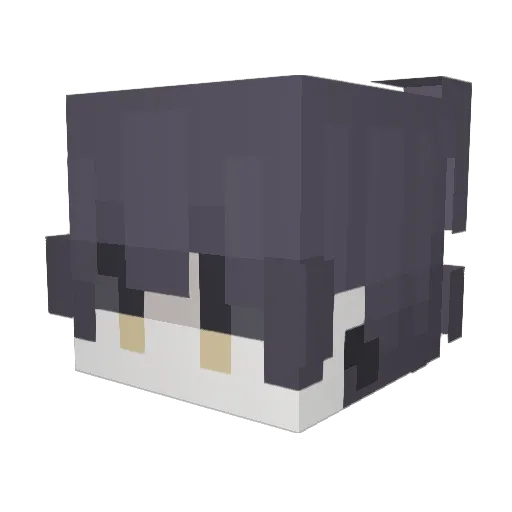 EmoBoyT_T Minecraft avatar head, 3D render