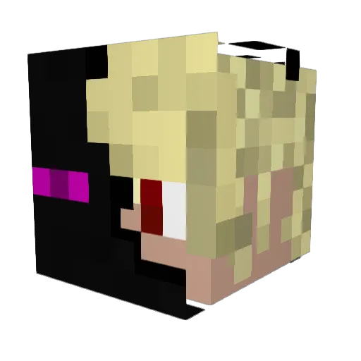 EmoMoose Minecraft avatar head, 3D render