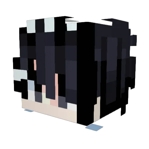 EmoTrash01 Minecraft avatar head, 3D render