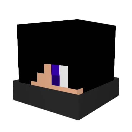 Emolunchofsuck Minecraft avatar head, 3D render