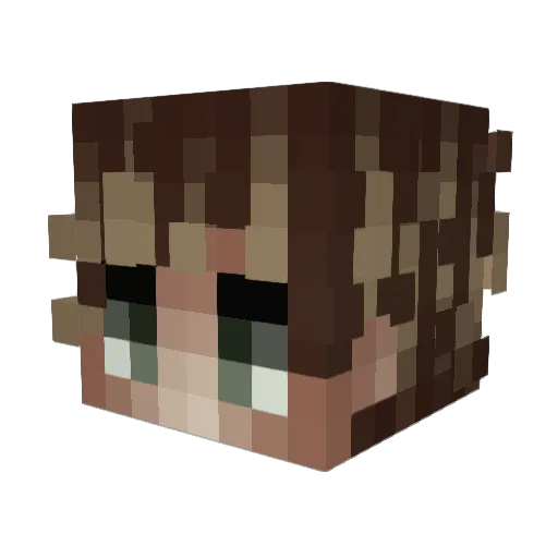 Emoovii Minecraft avatar head, 3D render