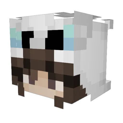 Emopanda1 Minecraft avatar head, 3D render